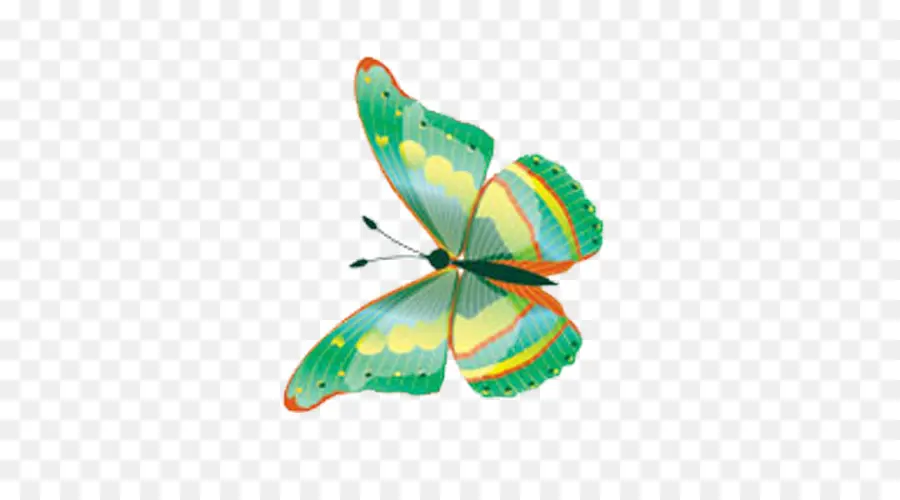 Mariposa，Verde PNG