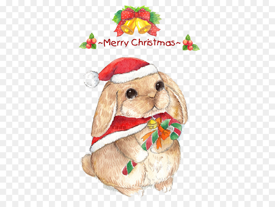 La Navidad，Conejo PNG