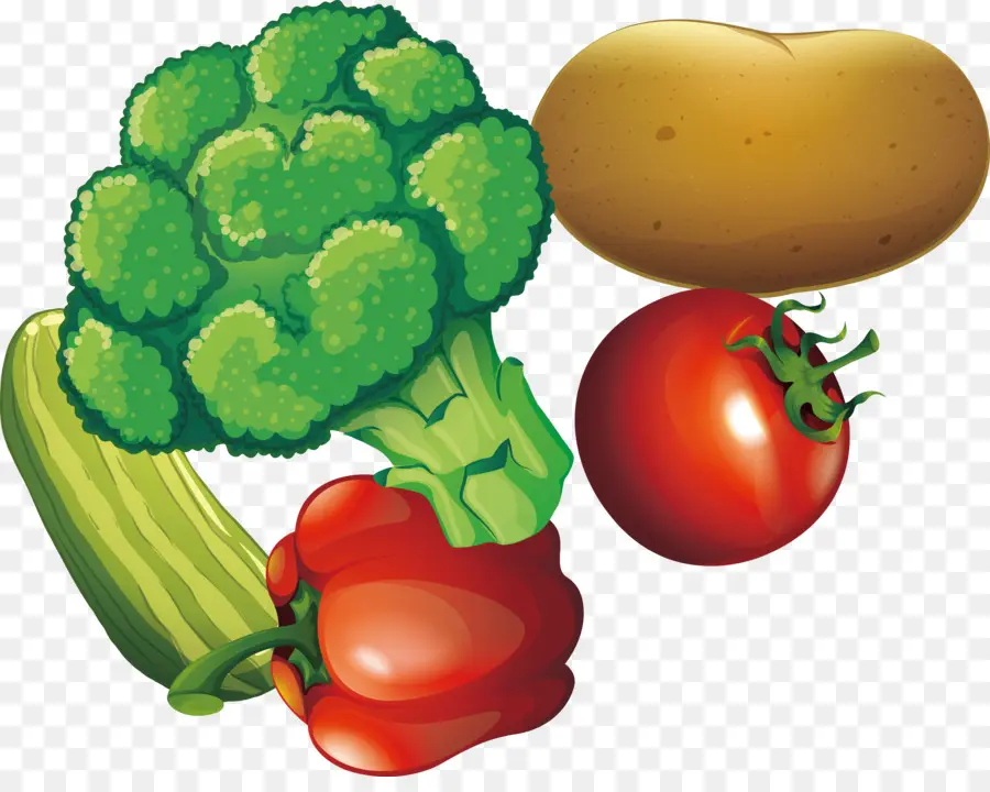 Verduras，Brócoli PNG