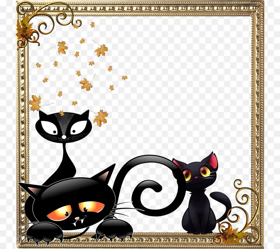 Gatos Negros，Gatos PNG