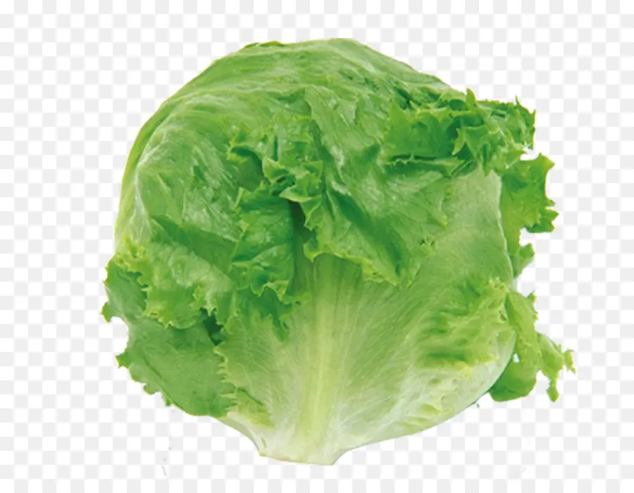 Vegetal，Chanpuru016b PNG