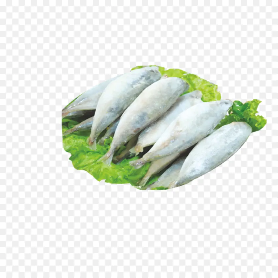 Varitas De Pescado，Los Peces De La Rebanada PNG