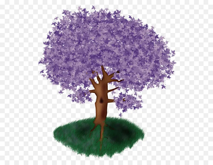 árbol，Púrpura PNG