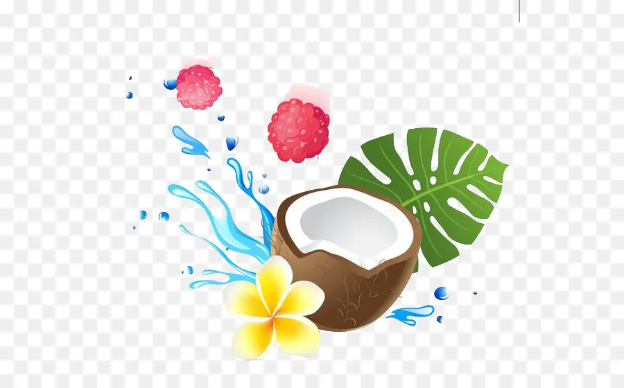 La Leche De Coco，Agua De Coco PNG