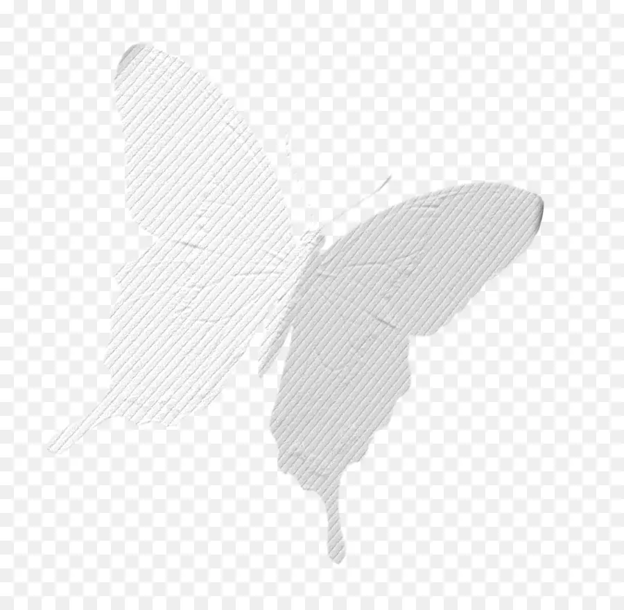 Mariposa，La Polilla PNG