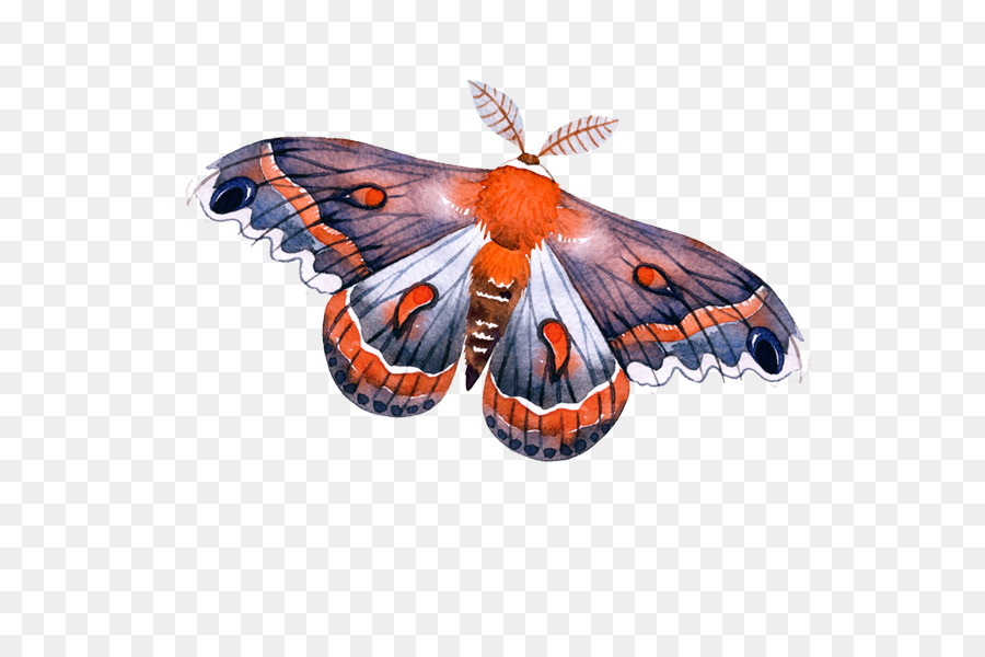 La Mariposa Monarca，Flecha PNG