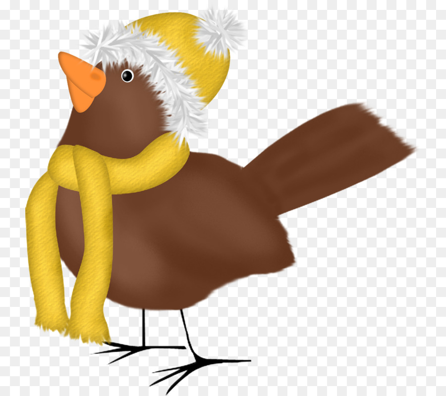 Pollo，Pájaro PNG