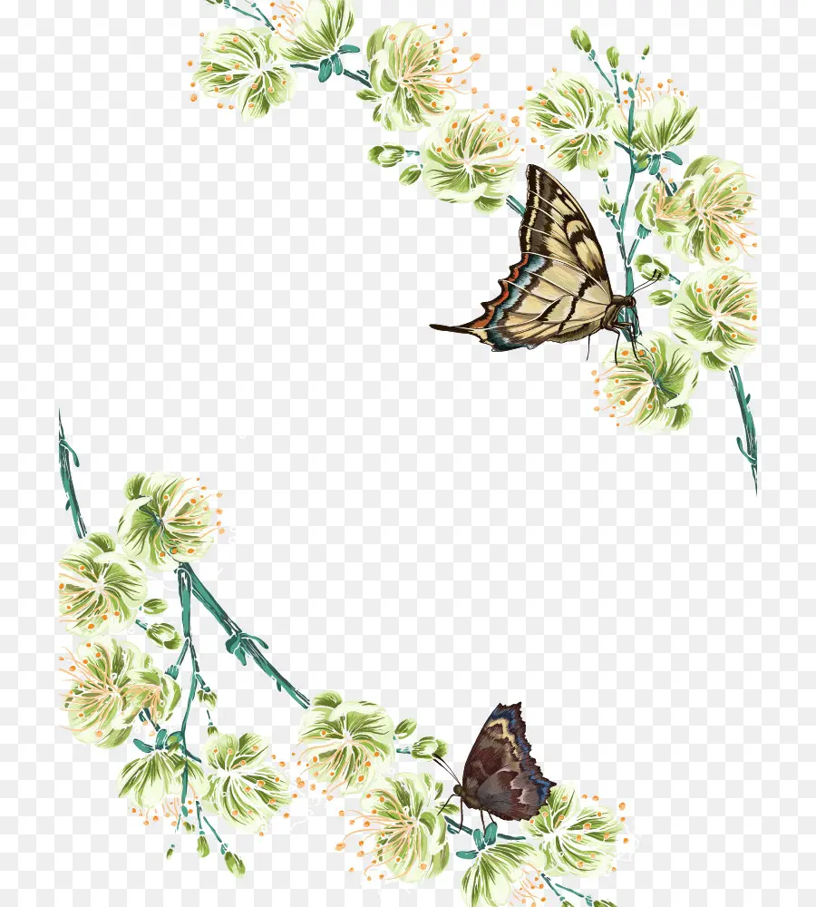 Mariposas Y Flores，Marco PNG