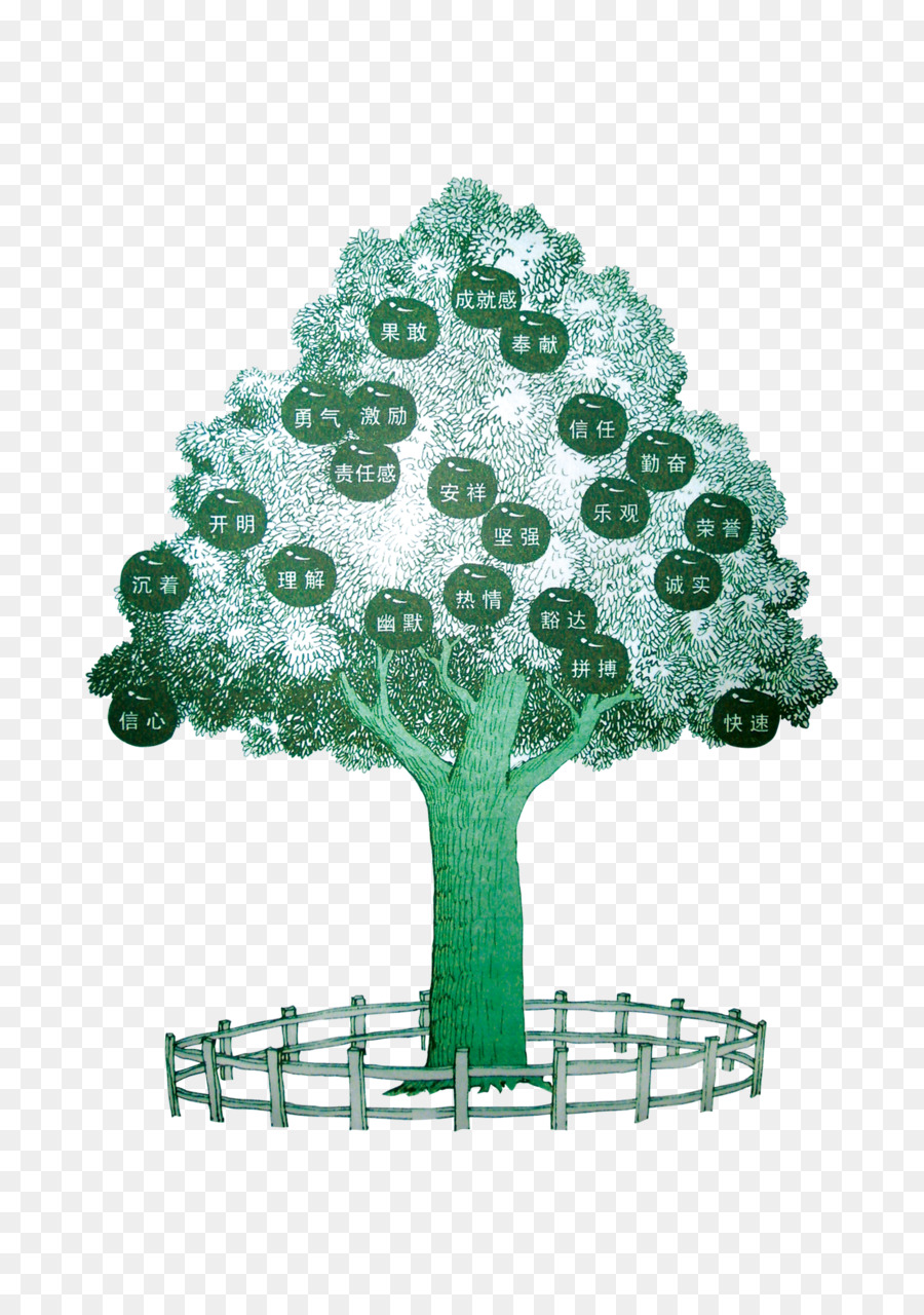 Árbol Genealógico，Nombres PNG