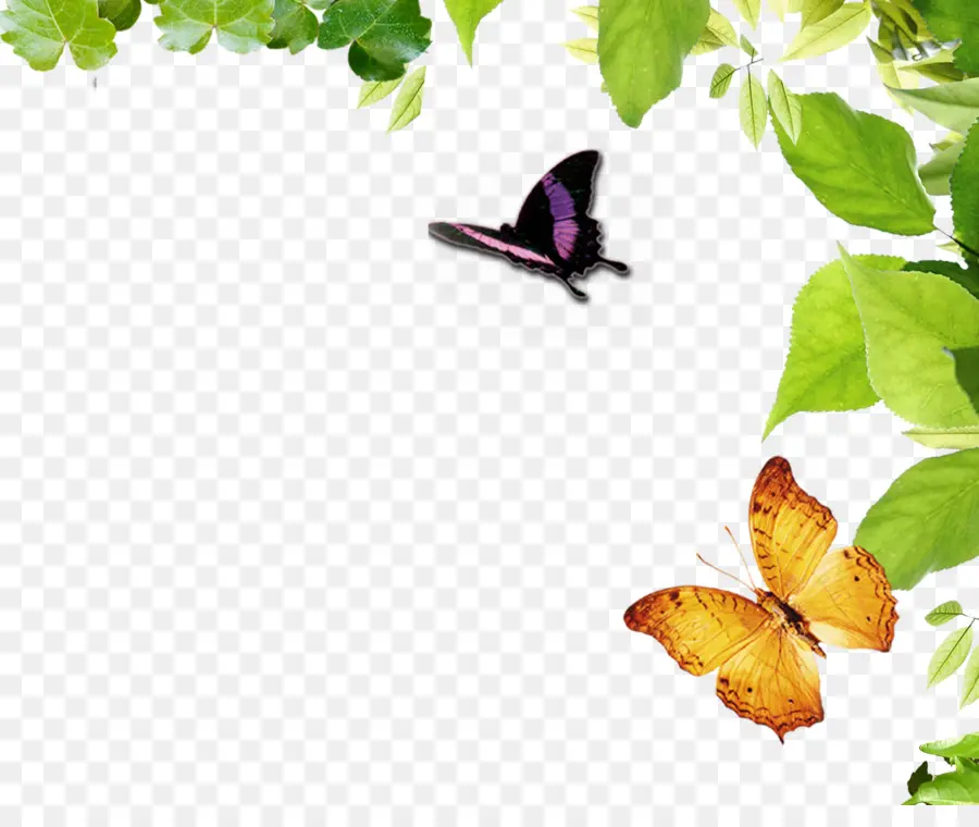 Mariposas Y Hojas，Mariposas PNG