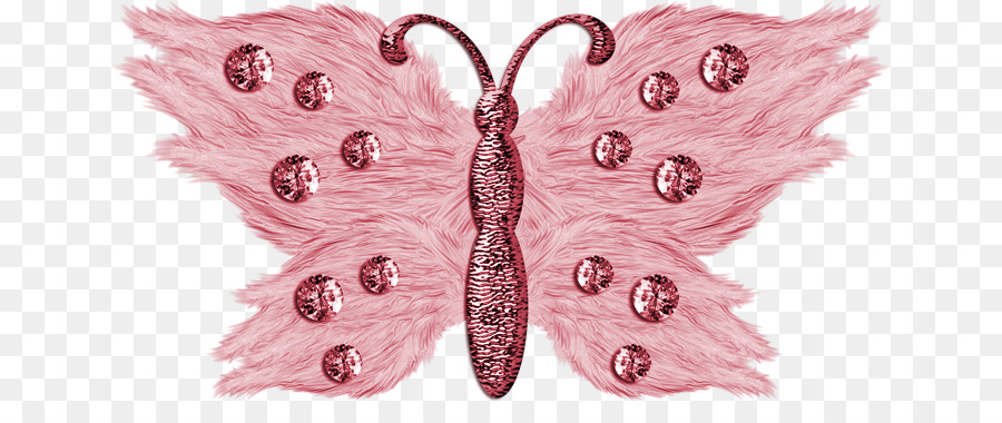 Mariposa，La Polilla PNG