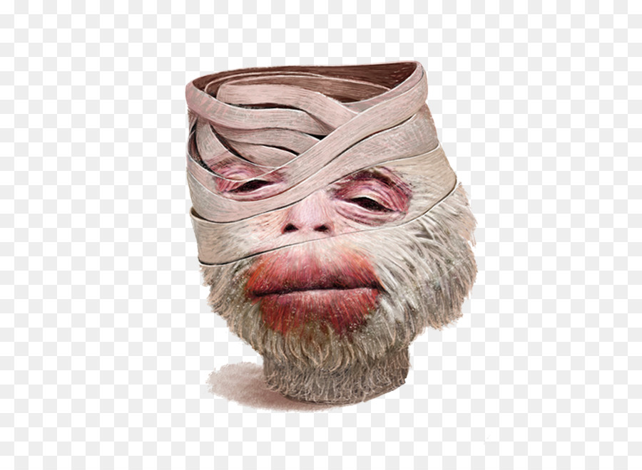 Macaco Rhesus，Mono PNG