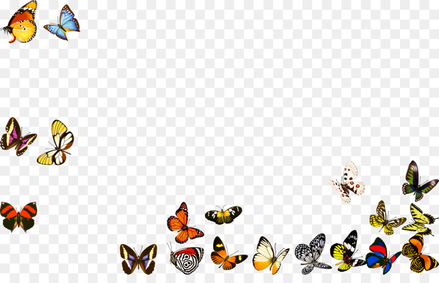 Mariposa，Diseñador PNG