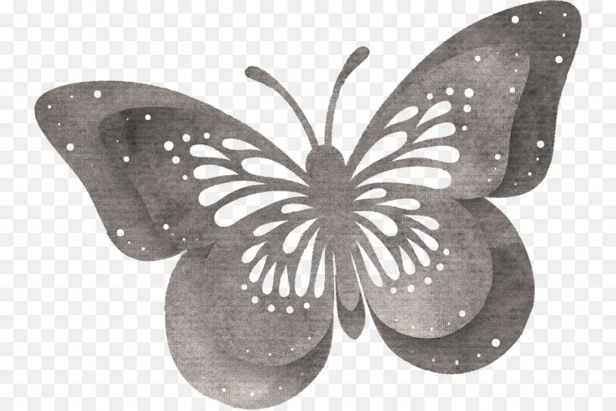 Mariposa，Papillon Perro PNG