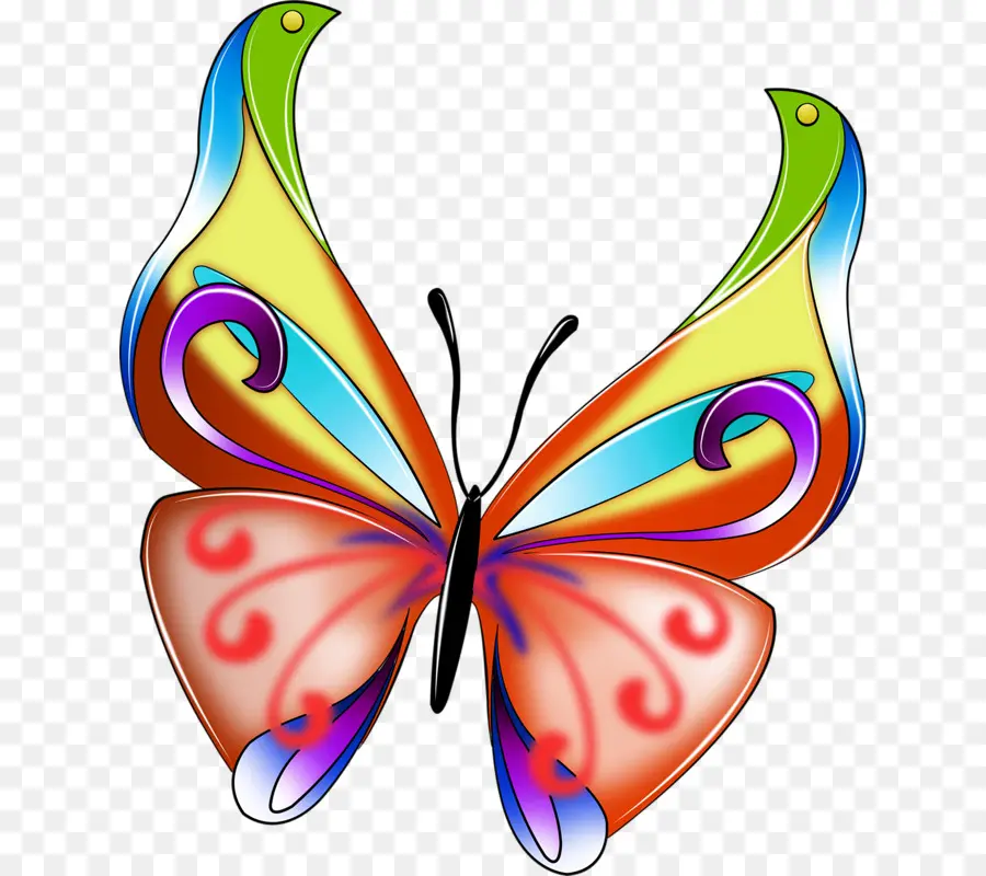 Mariposa，La Transparencia Y Translucidez PNG