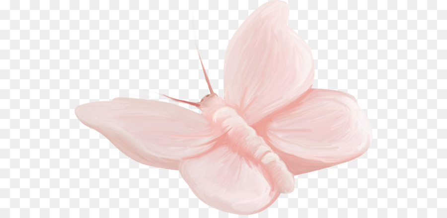 Mariposa Rosa，Mariposa PNG