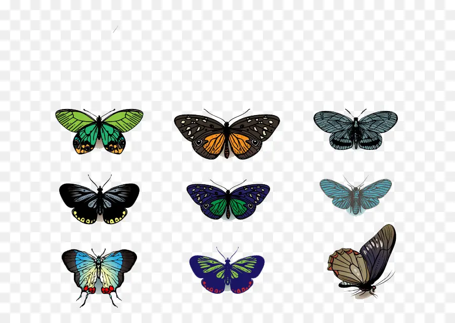 Mariposas，Vistoso PNG