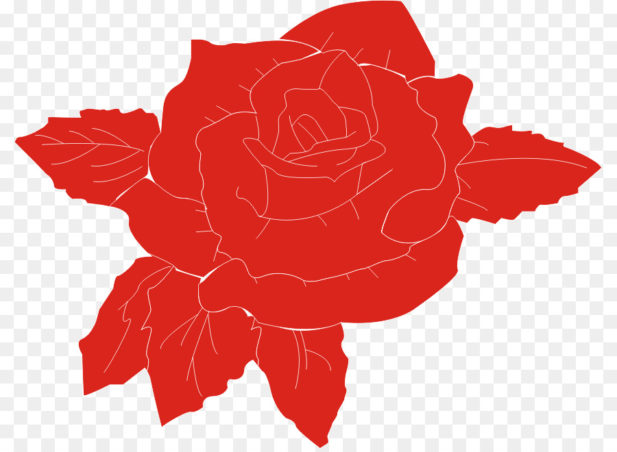 Las Rosas De Jardín，Rosa Chinensis PNG