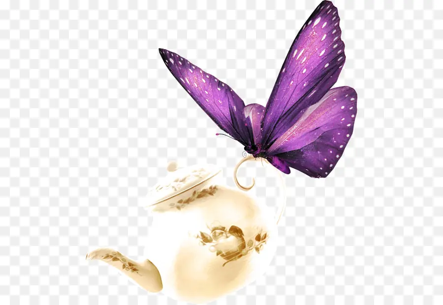 Mariposa Morada Y Tetera，Púrpura PNG