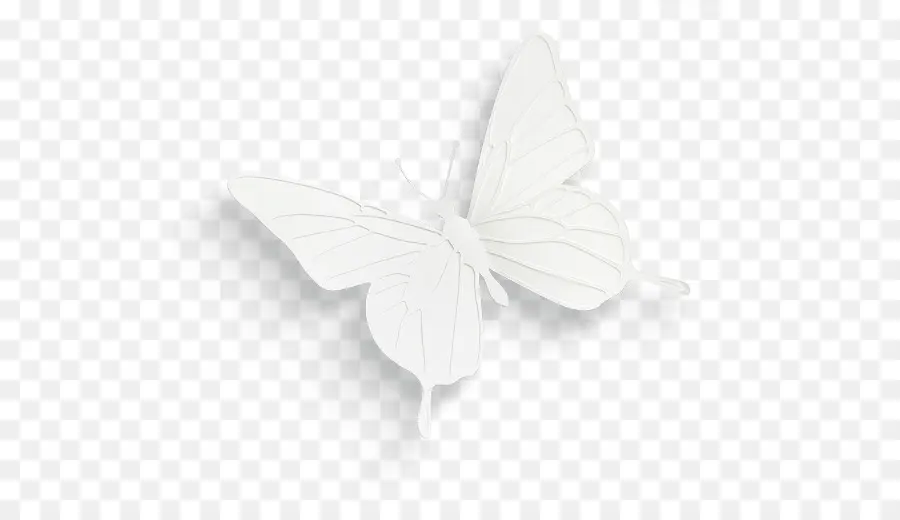 Mariposa，Blanco PNG