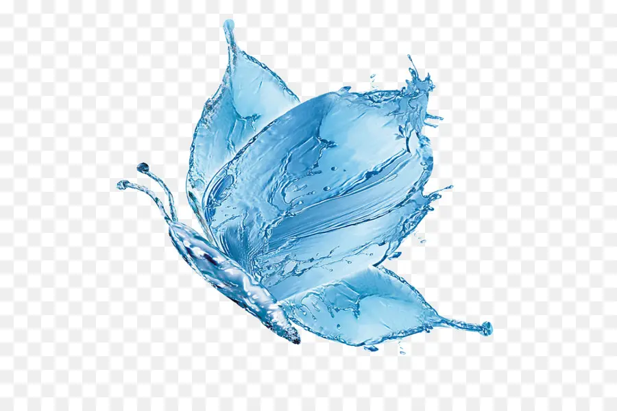 Mariposa，Agua PNG