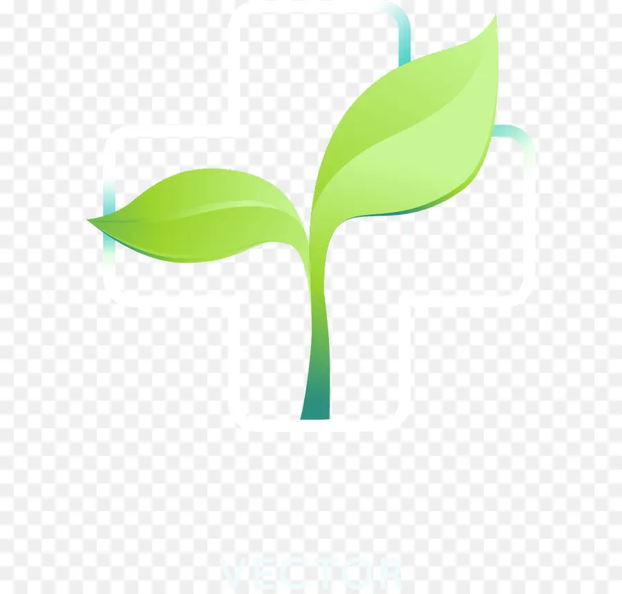 Planta Verde，Hojas PNG