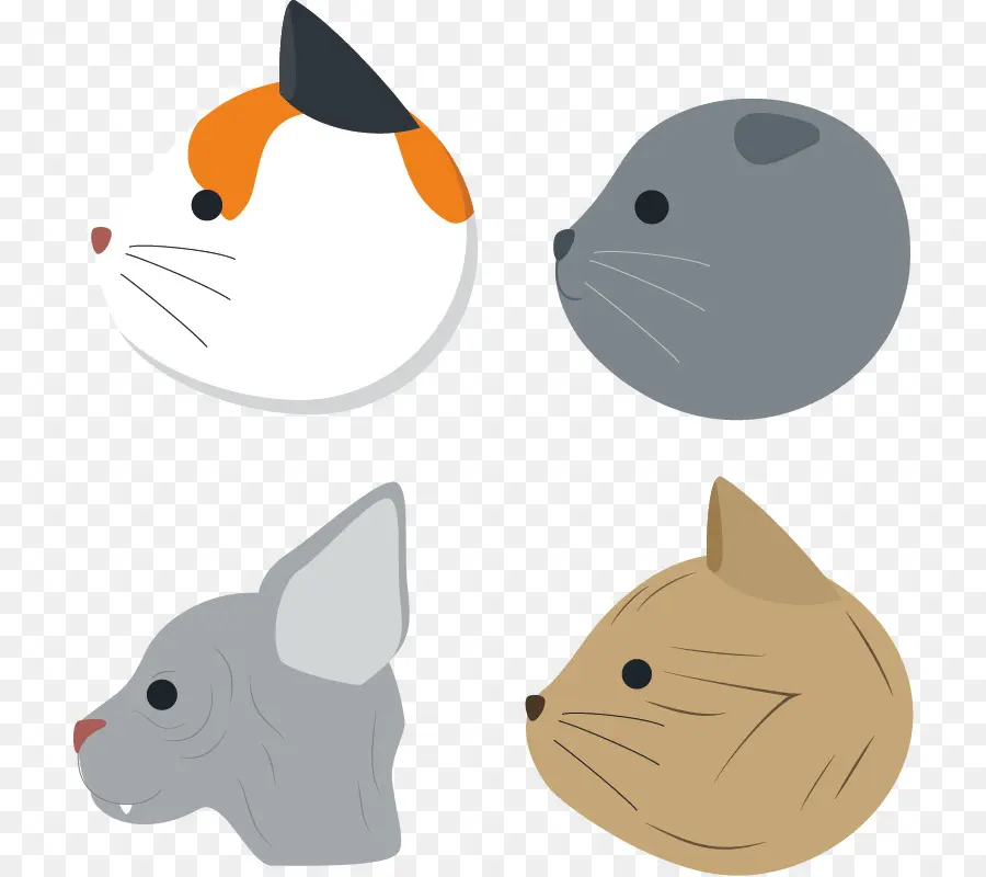 Gatos，Cabezas PNG