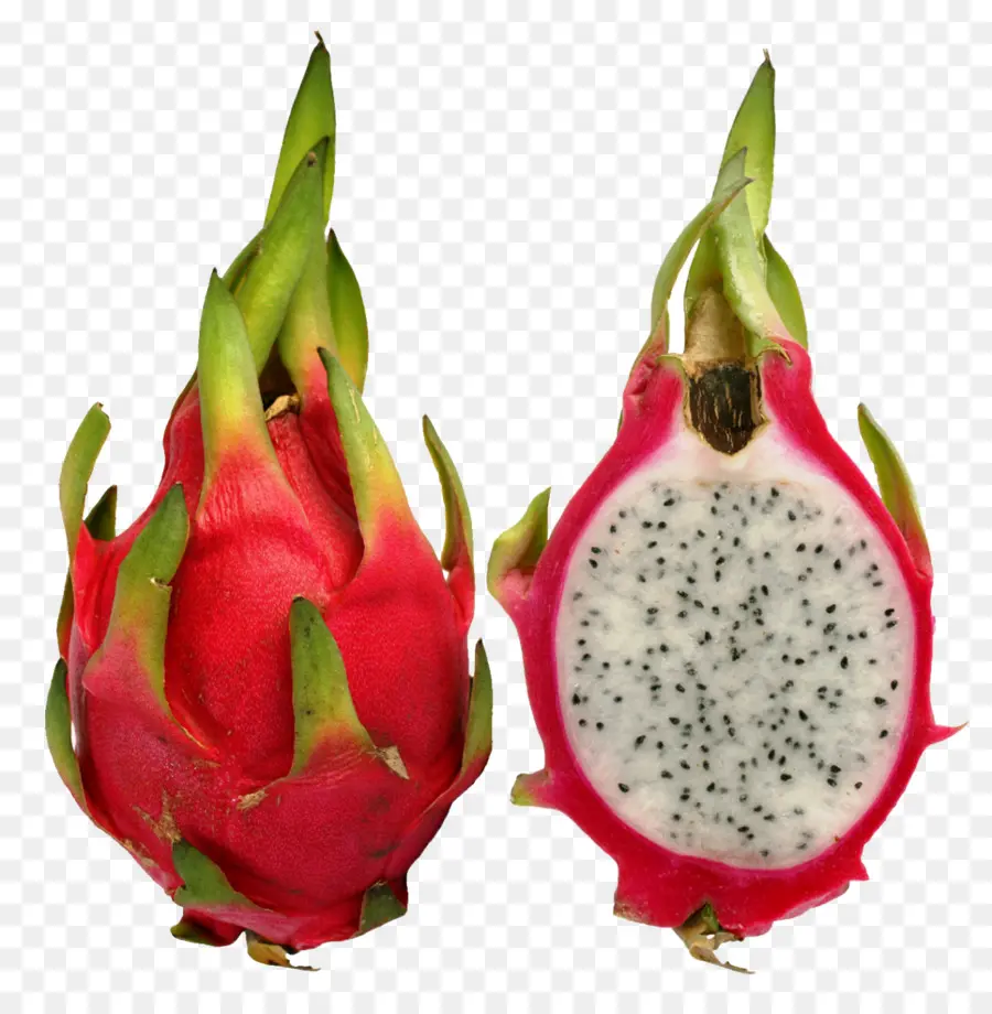 Jugo，Hylocereus Undatus PNG