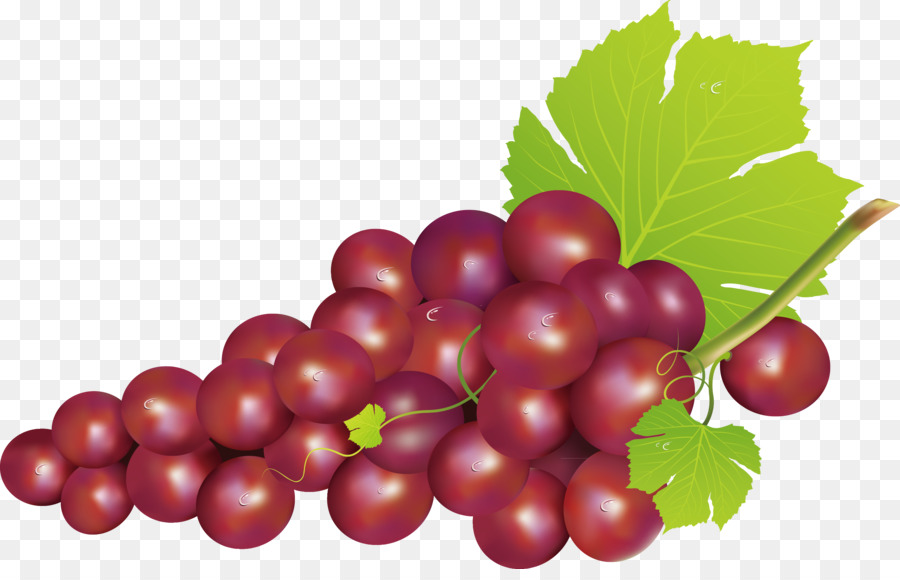 Uvas Rojas，Enredadera PNG