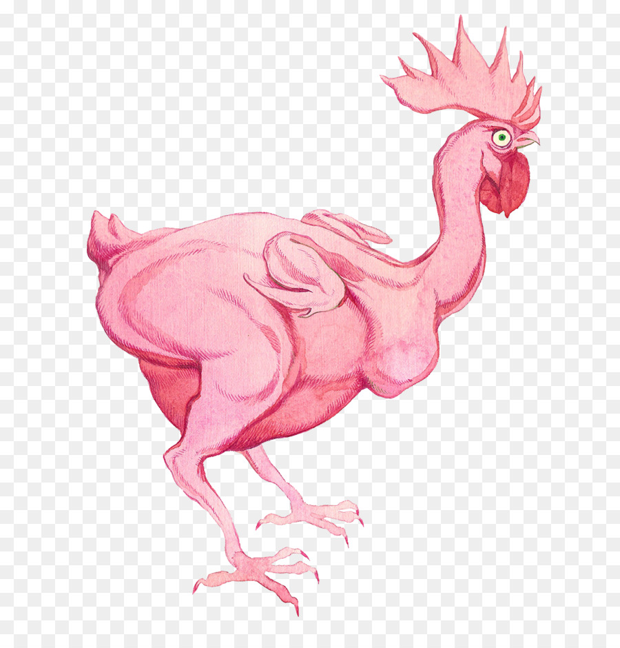 Gallo，Pollo PNG