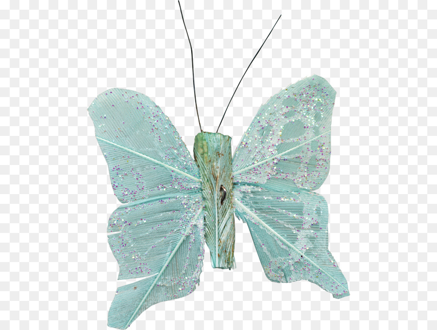 Mariposa，Nymphalidae PNG