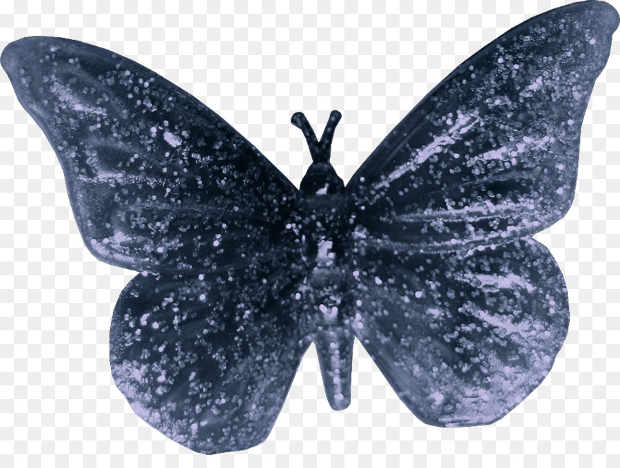 Mariposa，Nymphalidae PNG