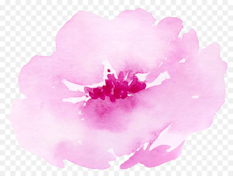 Acuarela De Flores，Pintura PNG