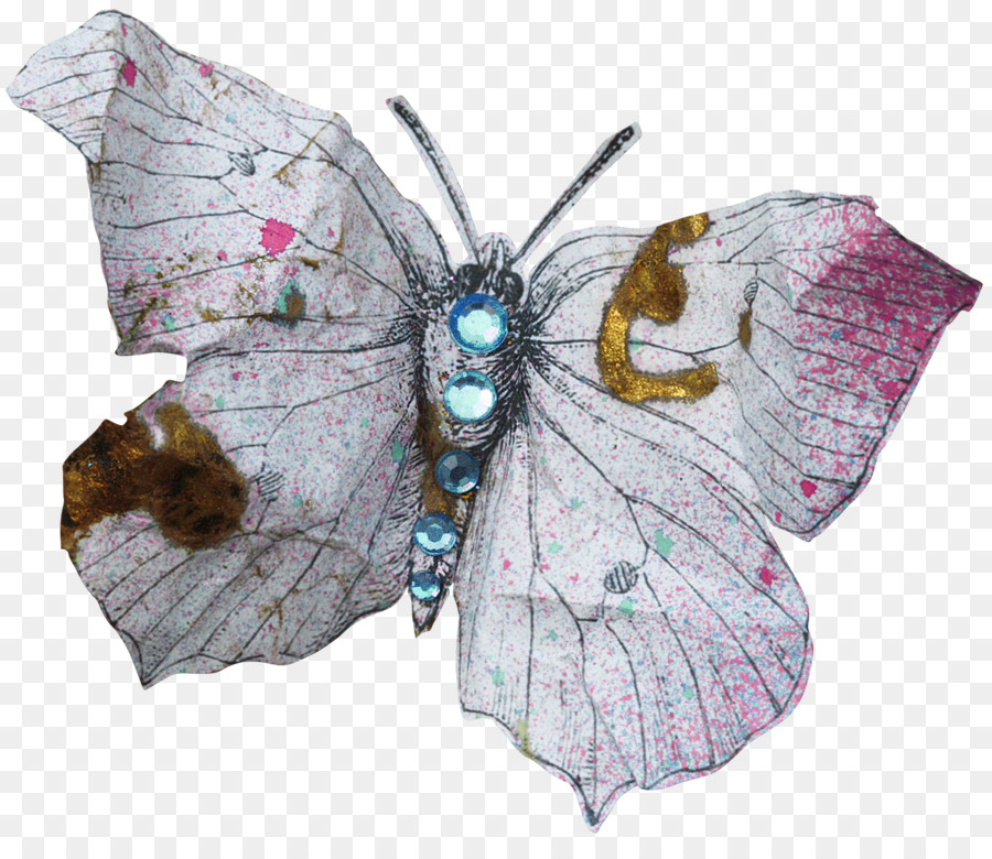 Mariposa，Nymphalidae PNG