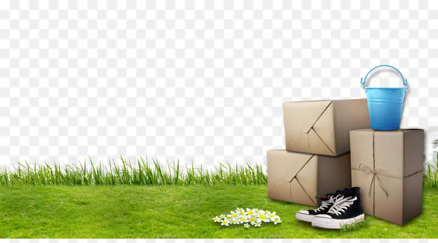 Cajas Y Pasto，Zapatos PNG