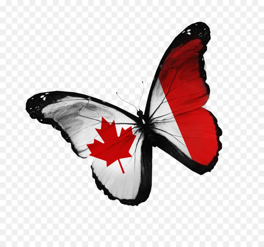 Canadá，Bandera De Canadá PNG