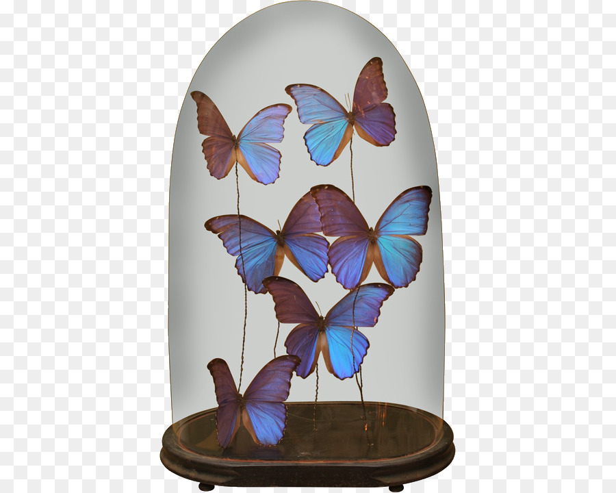 Mariposa，Día PNG