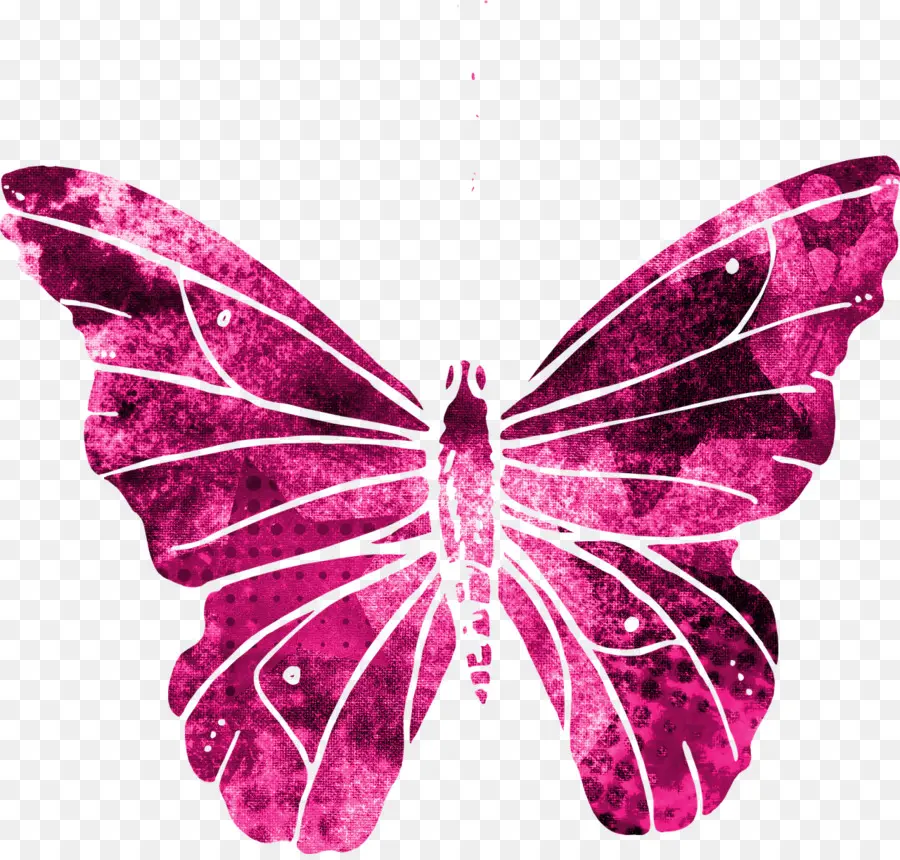 Mariposa Rosa，Rosa PNG