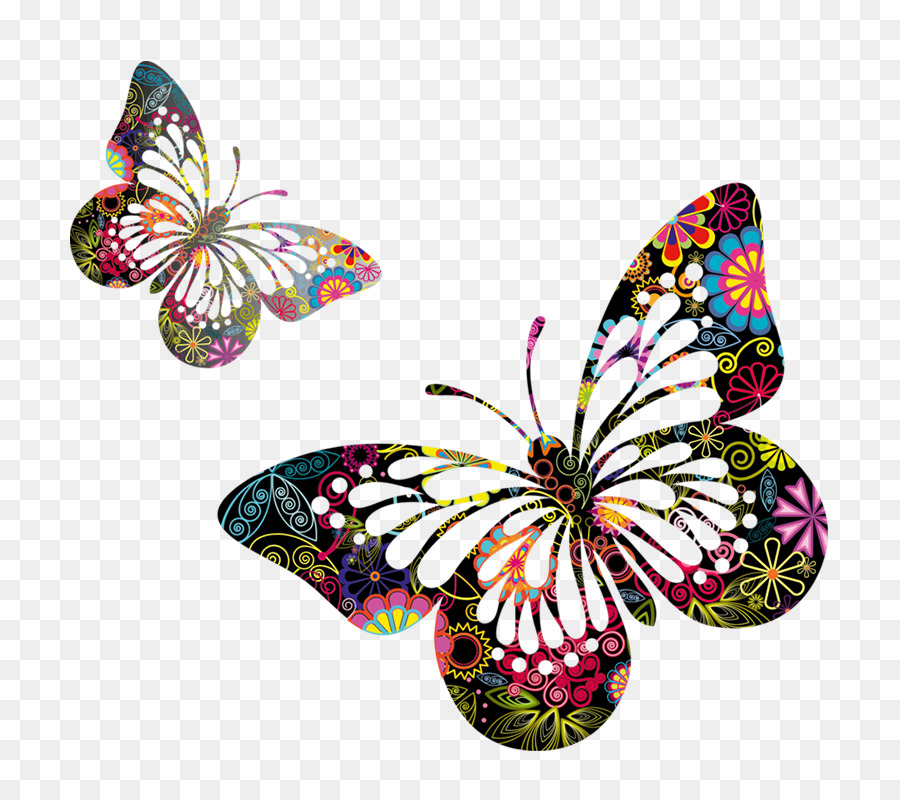 Mariposa，Vistoso PNG