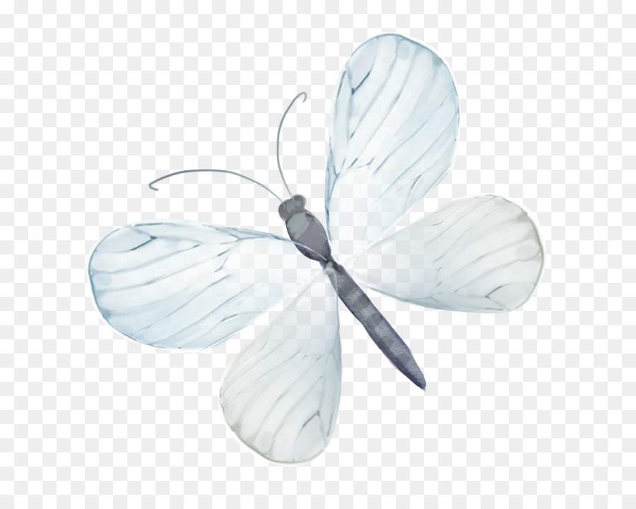 Mariposa，Dibujo PNG