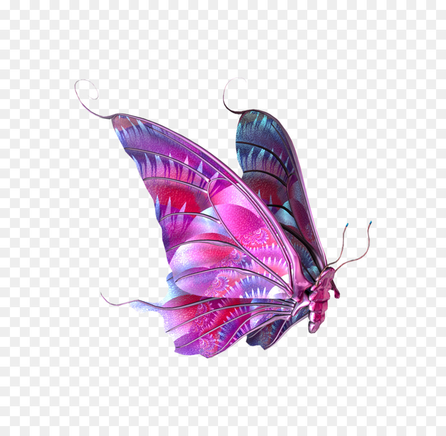 Mariposa，Formatos De Archivo De Imagen PNG