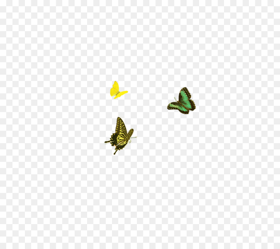 Mariposas，Vuelo PNG