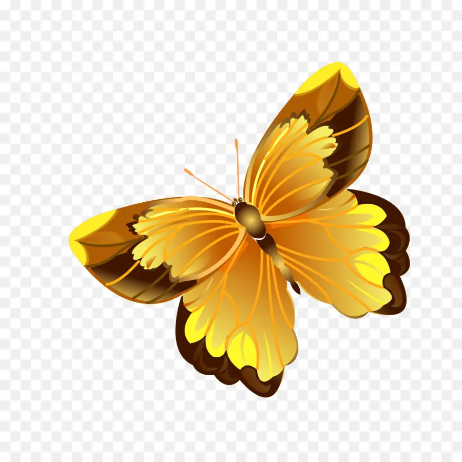 Mariposa，Software PNG