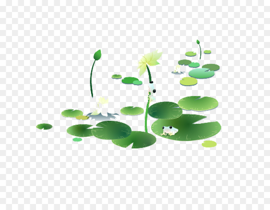 Plantas Verdes，Hojas PNG