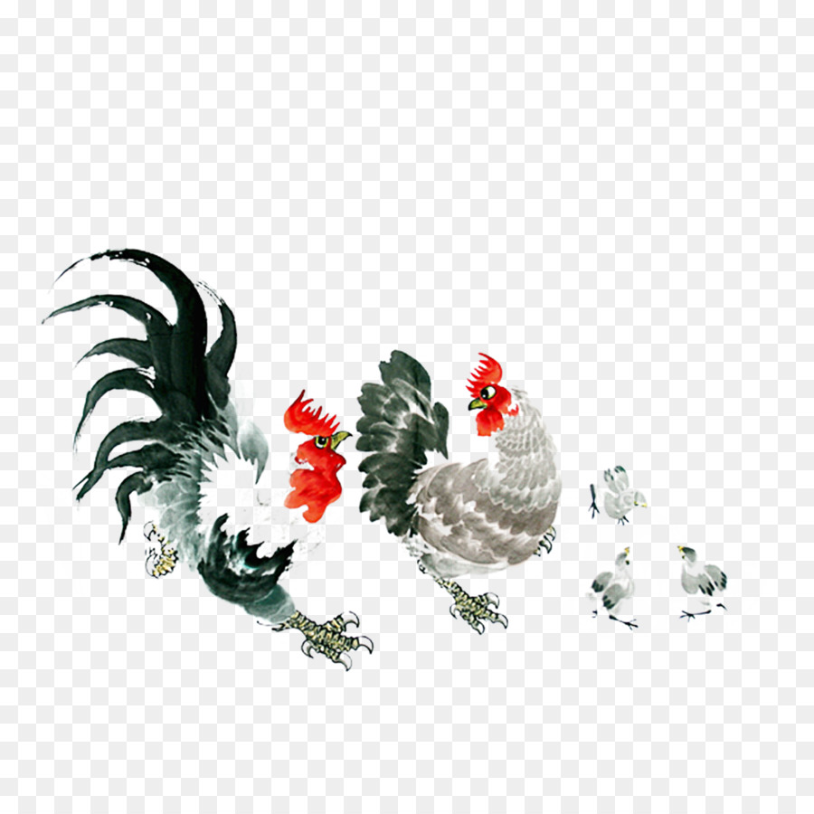 Silkie，Gallo PNG