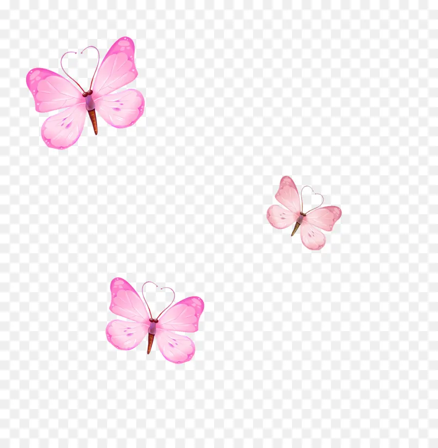 Mariposas Coloridas，Vuelo PNG