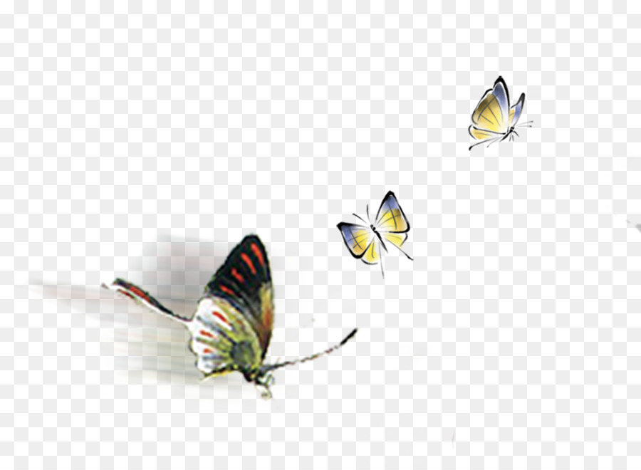 Mariposas，Vuelo PNG