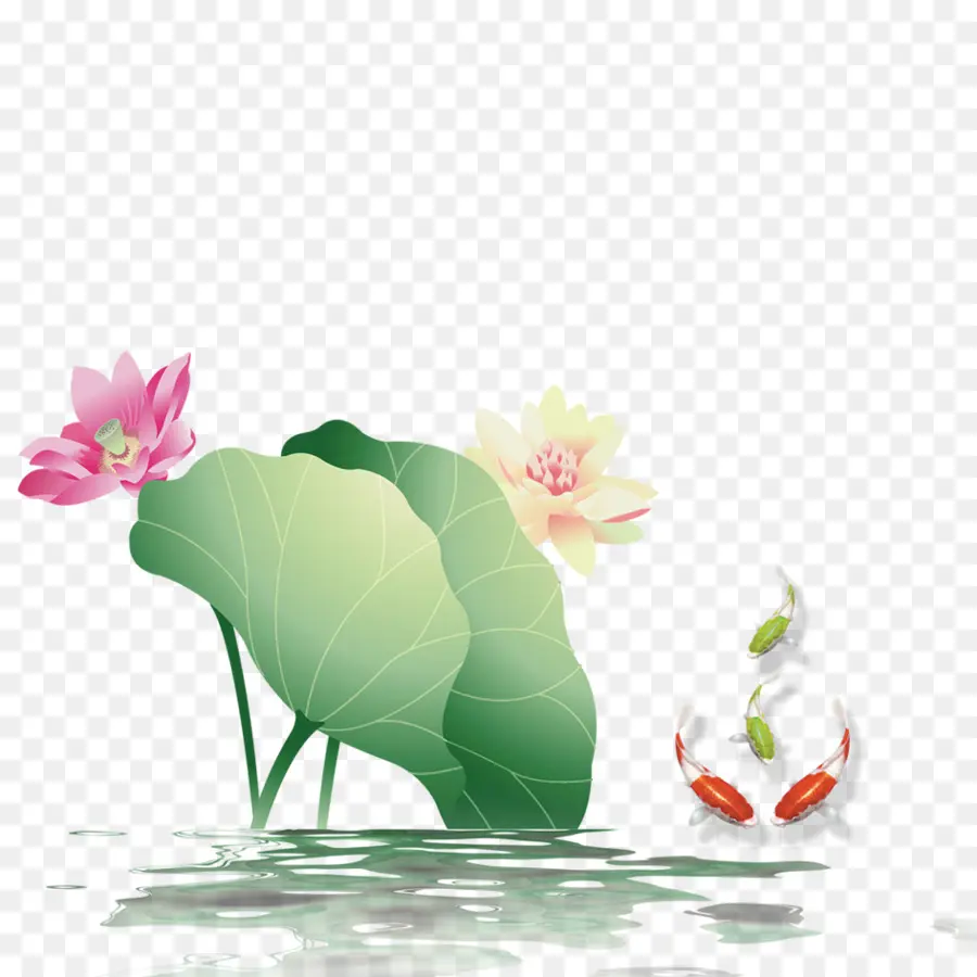 Flores De Loto，Hojas PNG