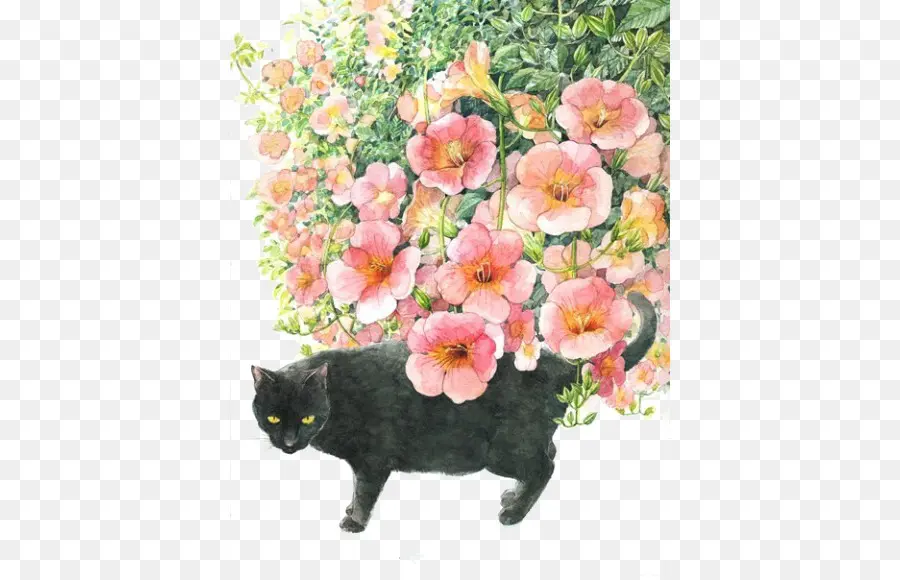 Gato Negro，Flores PNG