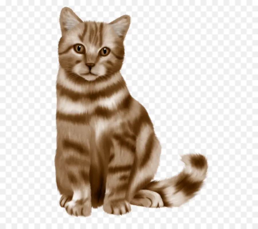 Gato Persa，Azul Ruso PNG